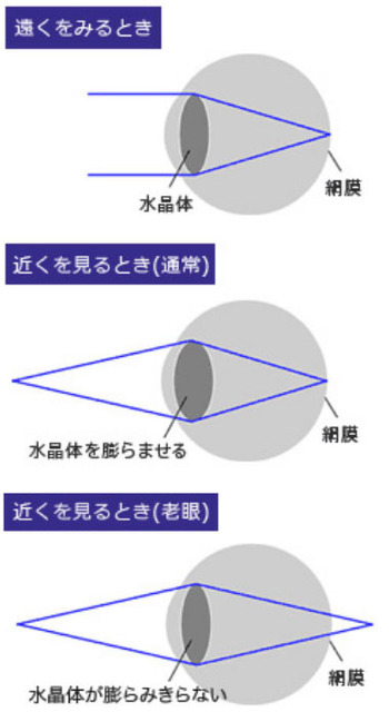 老眼01.jpg